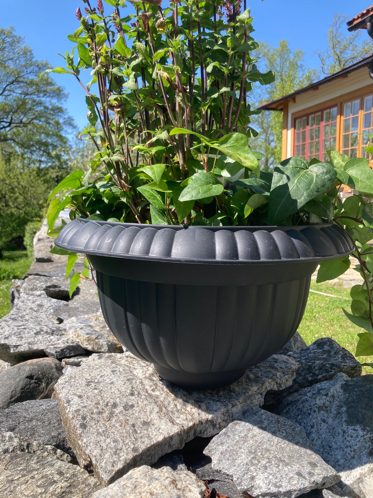 Planteringskärl passar till 50 och 80 liters tunnor