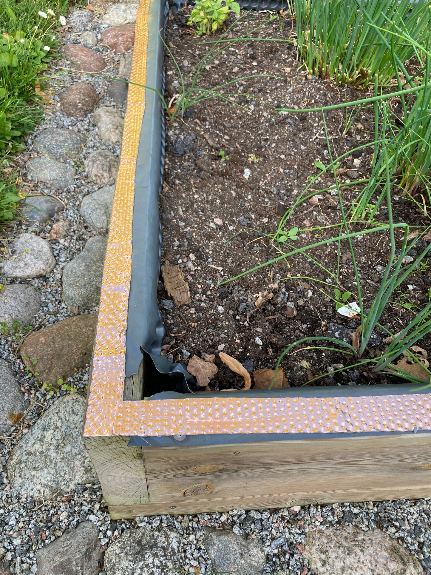 Kopparband mot mossa och alger på taket eller som snigeltejp i trädgården.