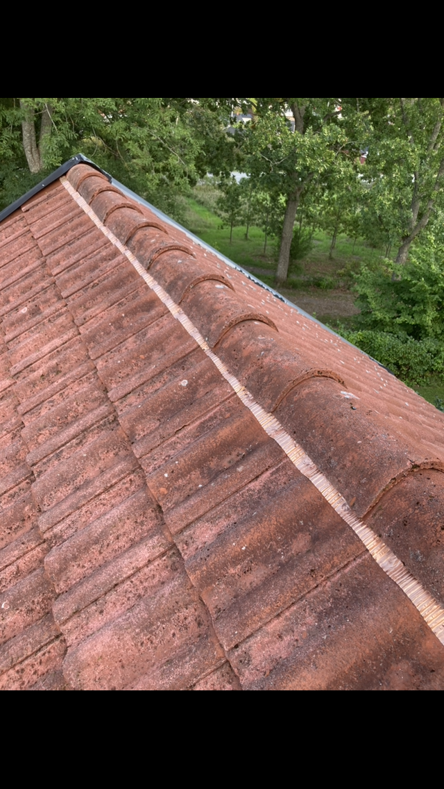 Nockband PRO-koppar mot mossa och alger